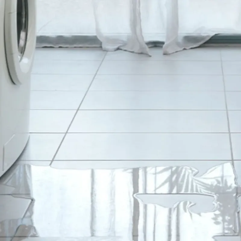Appliance Leak Cleanup in Anniston, AL