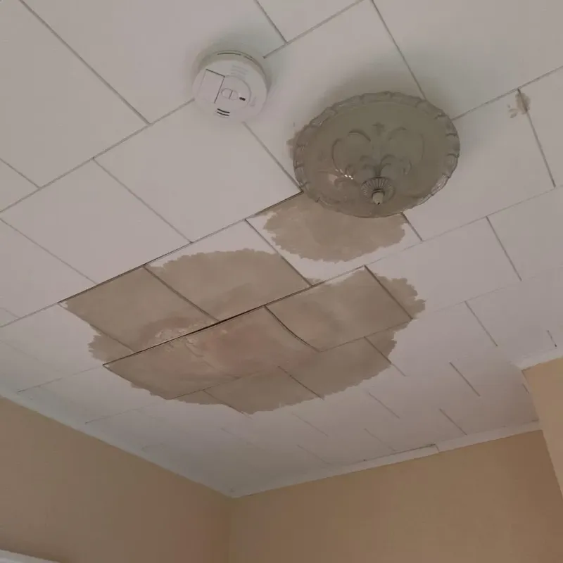 Ceiling Water Damage Repair in Anniston, AL