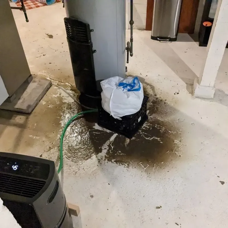Sewage Backup Cleanup Service in Anniston, AL